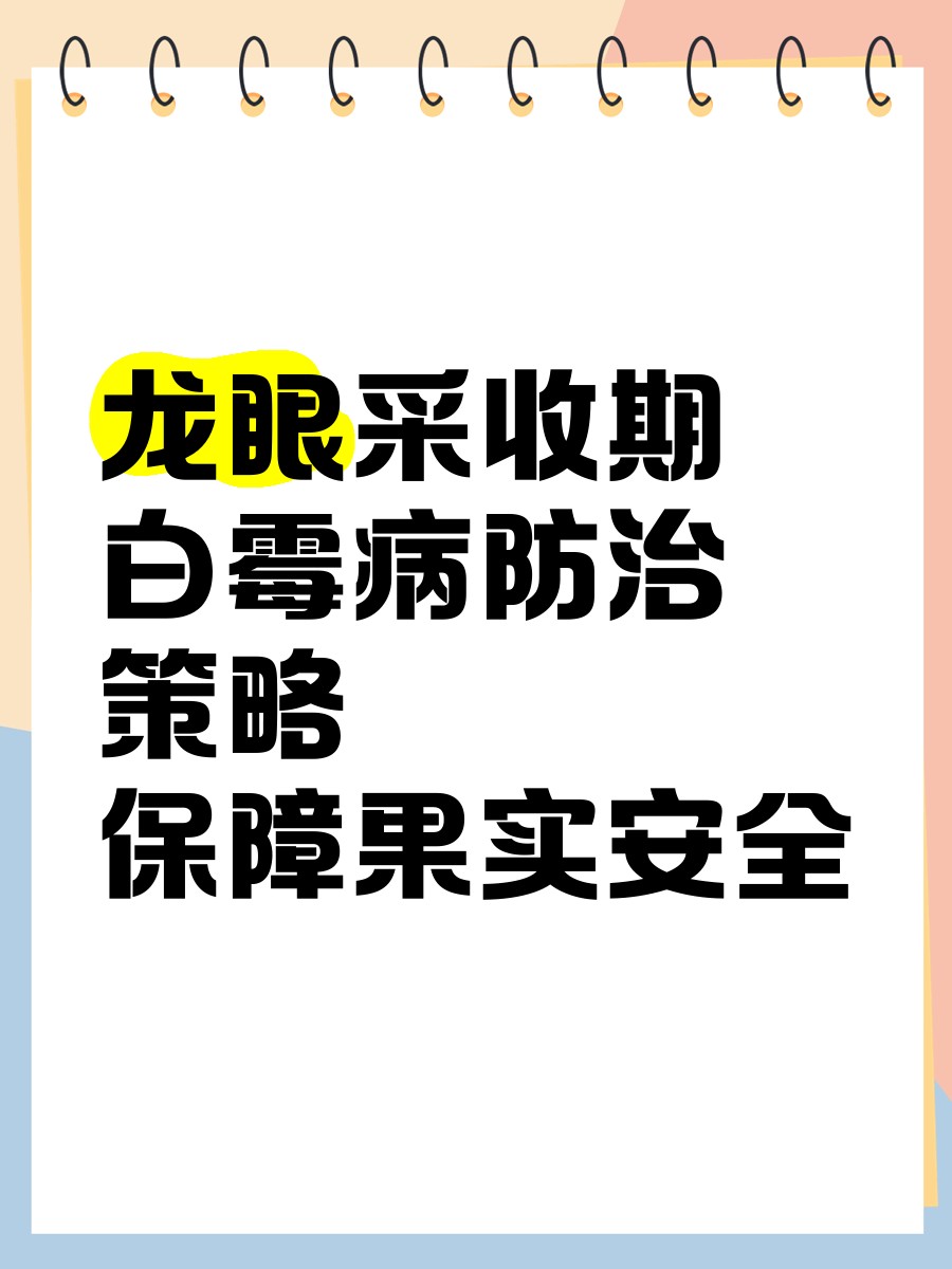 龍眼白膜最怕三個部位