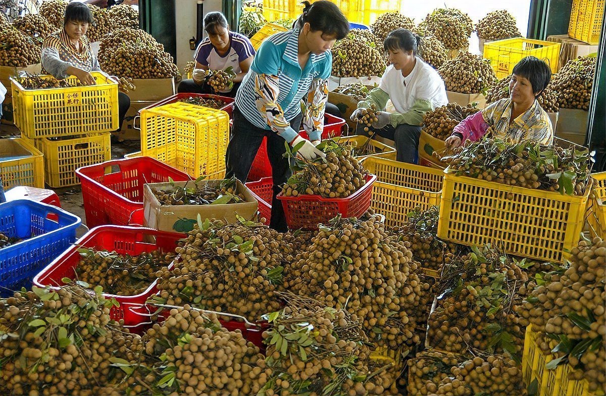 龍眼白膜最怕三個部位