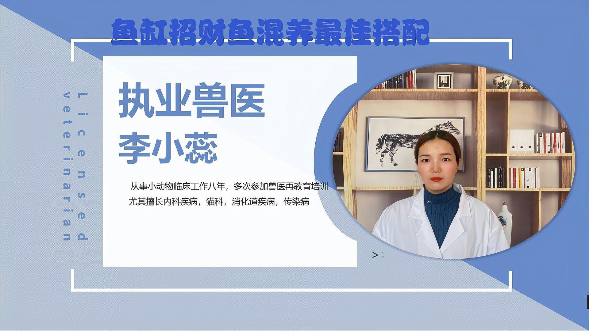 招財魚可以和銀龍魚混養嗎圖片大全大圖