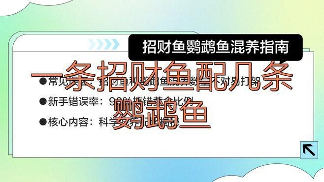招財魚可以和銀龍魚混養嗎圖片大全大圖