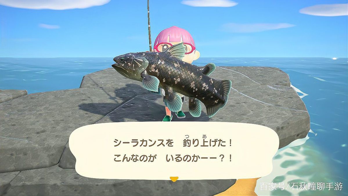 動森各種魚的價格排行