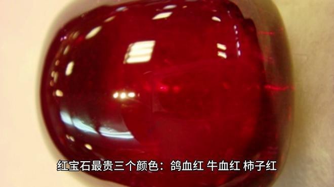 印尼紅最貴的三個(gè)品種 龍魚(yú)論壇 第1張 印尼紅最貴的三個(gè)品種 印尼紅最貴的三個(gè)品種 龍魚(yú)論壇 第1張