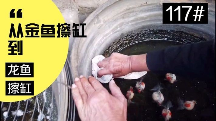 曲陽縣魚友水族館