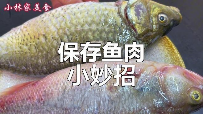 龍魚冷凍保鮮的最佳方法