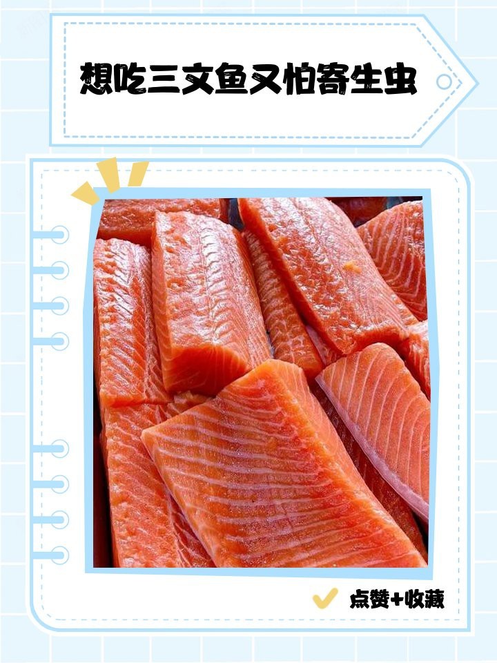 挪威三文魚有寄生蟲嗎