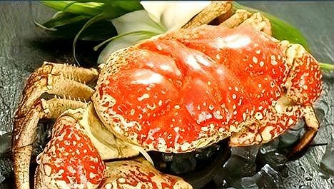 螃蟹品種大全圖