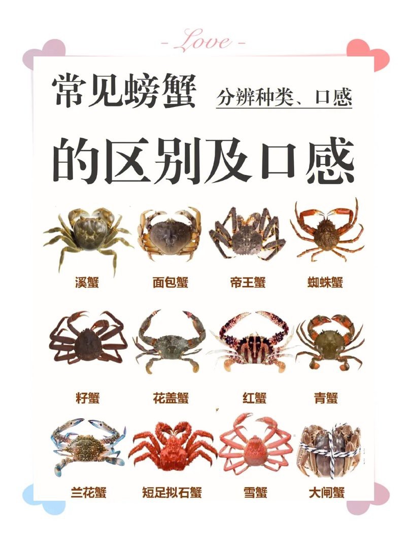 螃蟹品種大全圖