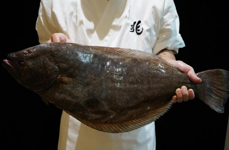 平魚最大的多大 平魚最大的多大 龍魚論壇 第1張