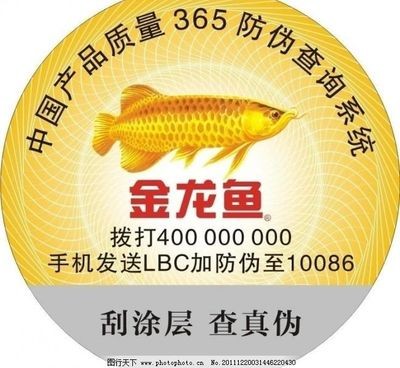 金龍魚官網查詢真偽網站