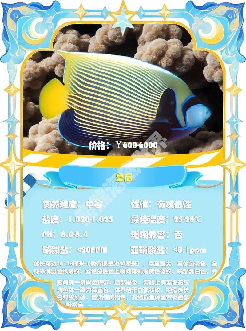 神仙魚圖片大全大圖 龍魚論壇 第4張 神仙魚圖片大全大圖 神仙魚圖片大全大圖 龍魚論壇 第4張