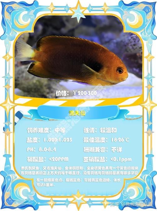 神仙魚圖片大全大圖 龍魚論壇 第6張 神仙魚圖片大全大圖 神仙魚圖片大全大圖 龍魚論壇 第6張