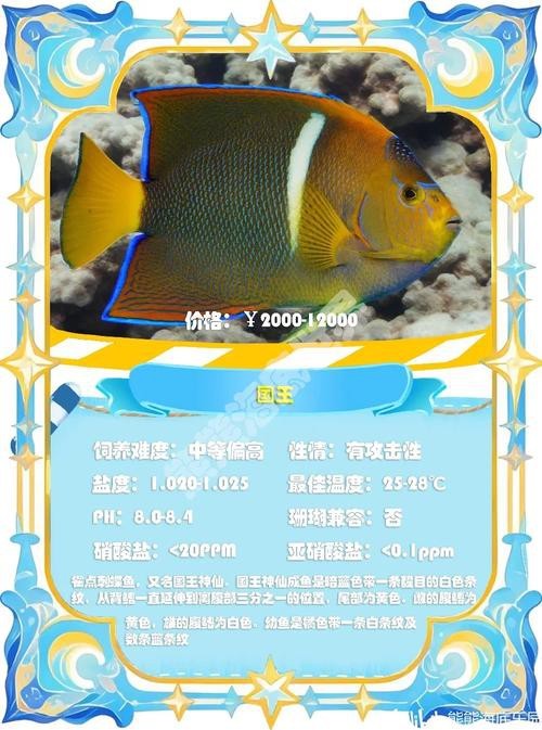 神仙魚圖片大全大圖 龍魚論壇 第22張 神仙魚圖片大全大圖 神仙魚圖片大全大圖 龍魚論壇 第22張