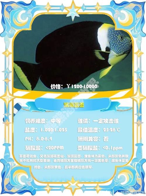 神仙魚圖片大全大圖 龍魚論壇 第24張 神仙魚圖片大全大圖 神仙魚圖片大全大圖 龍魚論壇 第24張