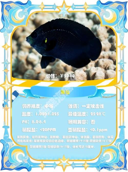 神仙魚圖片大全大圖 神仙魚圖片大全大圖 龍魚論壇 第27張