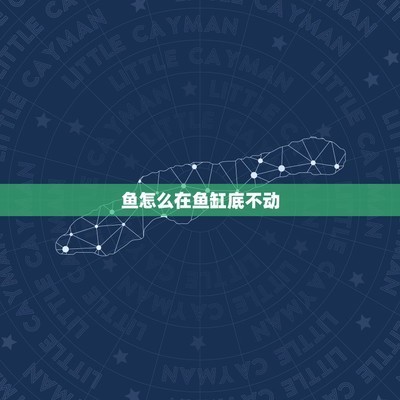 龍魚干蝦有營養嗎 深圳市龍崗區橫崗鎮仙湖水族館(深圳市龍崗區橫崗鎮仙湖水族館電話) 全國水族館企業名錄 深圳市龍崗區橫崗鎮仙湖水族館(深圳市龍崗區橫崗鎮仙湖水族館電話) 深圳市龍崗區橫崗鎮仙湖水族館(深圳市龍崗區橫崗鎮仙湖水族館電話) 全國水族館企業名錄