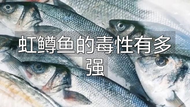 紅甘魚為何盡量少吃
