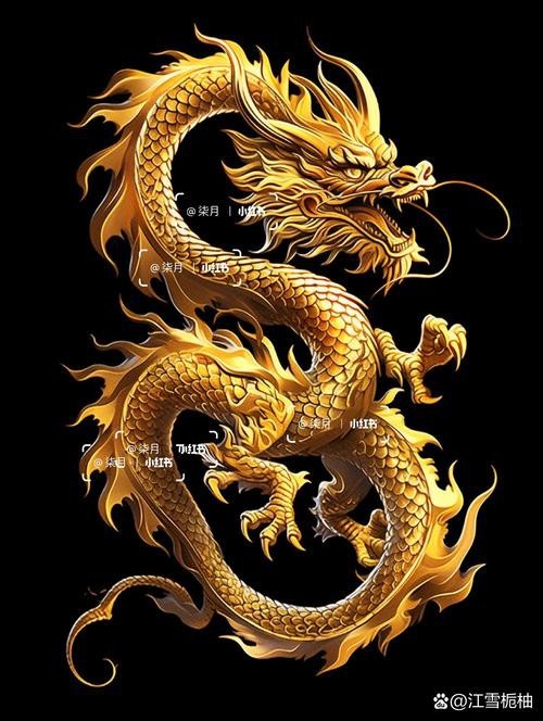 金龍圖片大全大圖