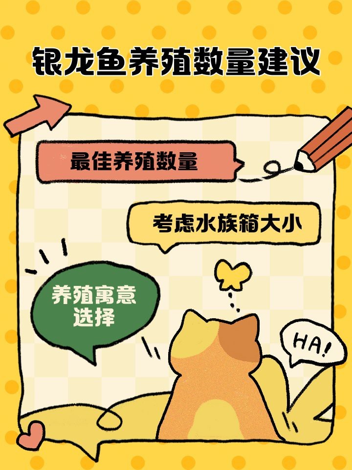風水龍魚應該養幾只合適