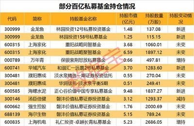府谷縣宏泰藝苑（府谷縣宏泰藝苑地址）