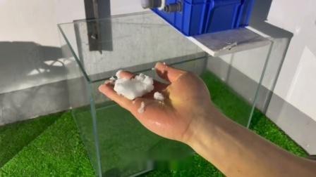 潮汐海靈養魚視頻 潮汐海靈養魚視頻 龍魚論壇 第1張