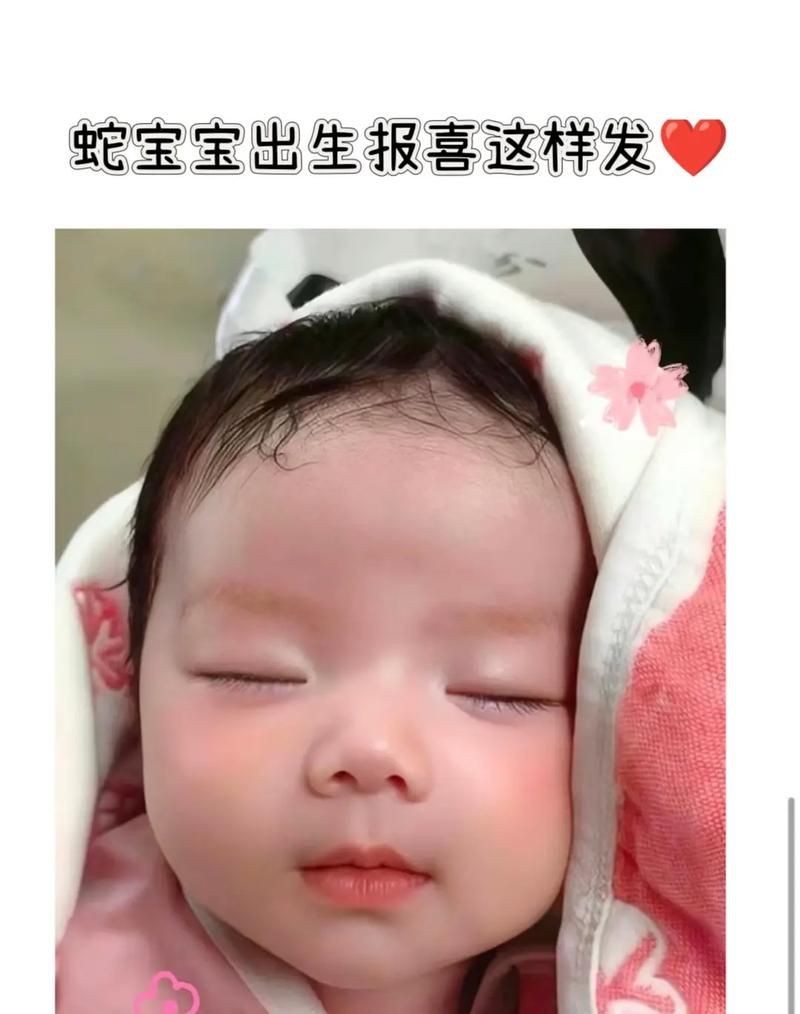 魟魚(yú)懷了蛇寶寶圖片