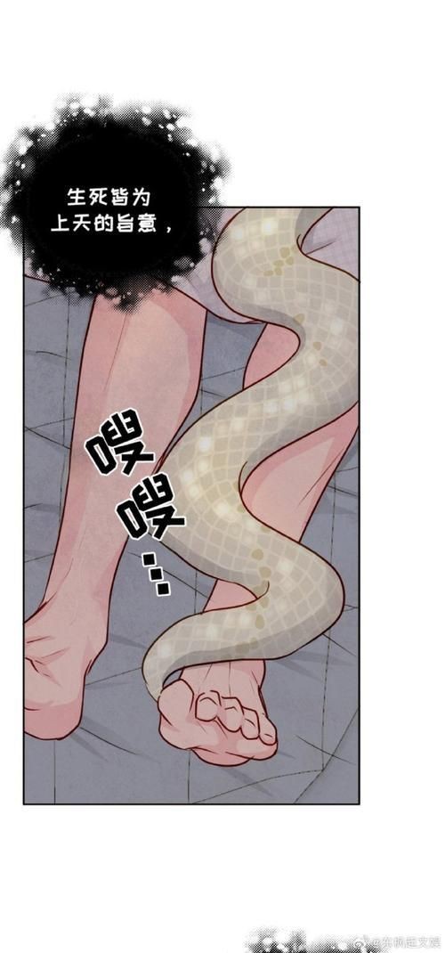 魟魚(yú)懷了蛇寶寶圖片