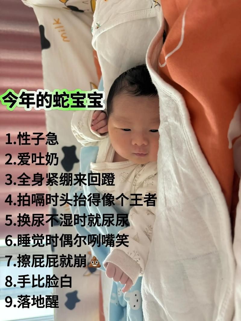 魟魚(yú)懷了蛇寶寶圖片