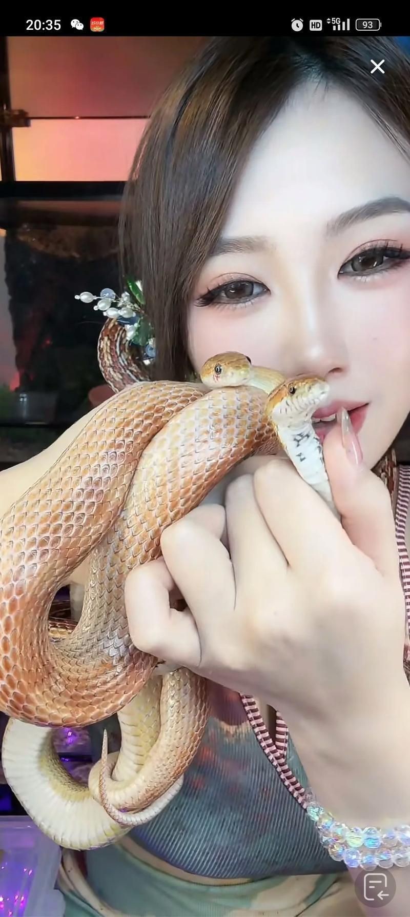 魟魚(yú)懷了蛇寶寶圖片