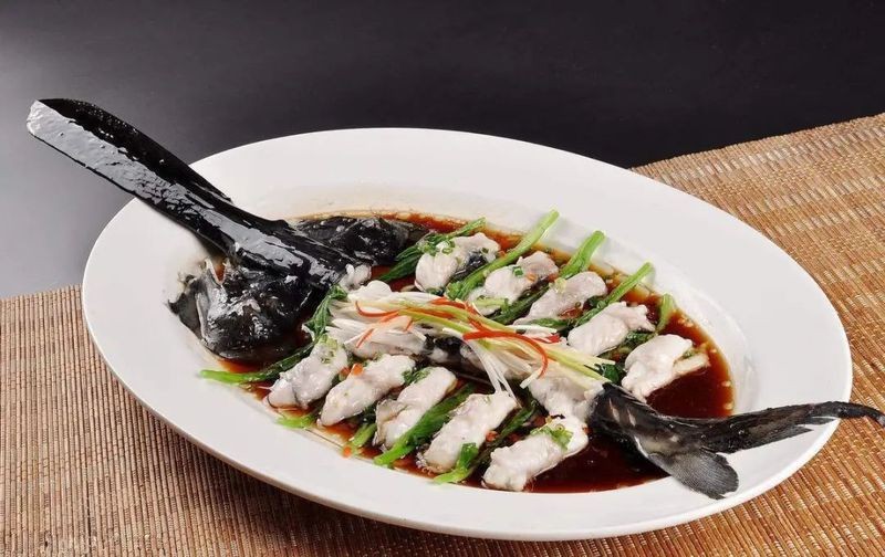 虎紋鴨嘴魚能吃嗎 虎紋鴨嘴魚能吃嗎 龍魚論壇 第9張