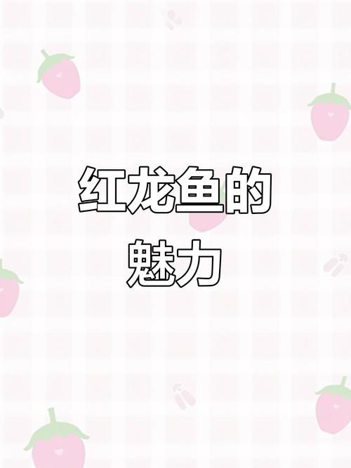 紅龍魚的分類及圖片視頻