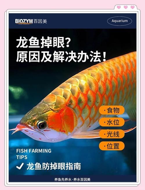 龍魚(yú)眼凸出來(lái)的圖片