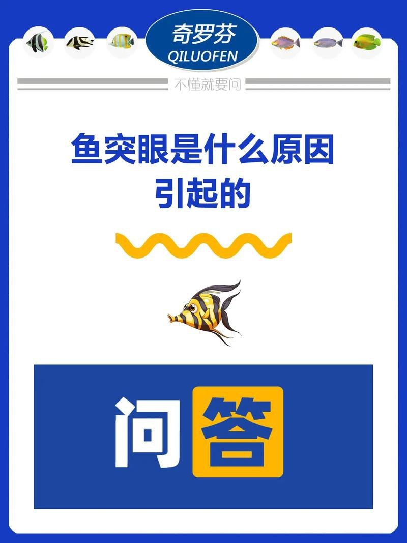 龍魚(yú)眼凸出來(lái)的圖片