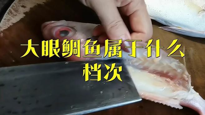 鯛魚是什么檔次的魚