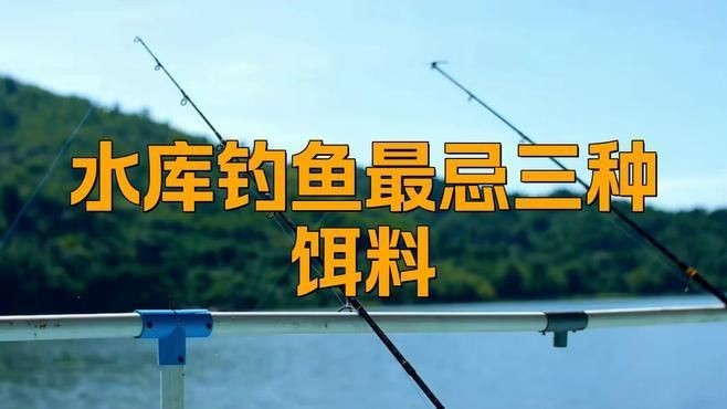 混養魚最忌三種餌料 混養魚最忌三種餌料 龍魚論壇 第5張