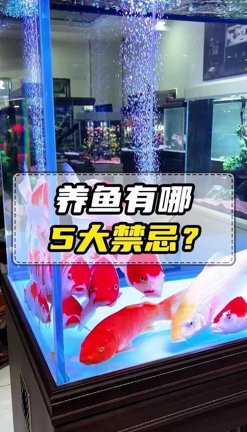 網箱養(yǎng)魚10大忌