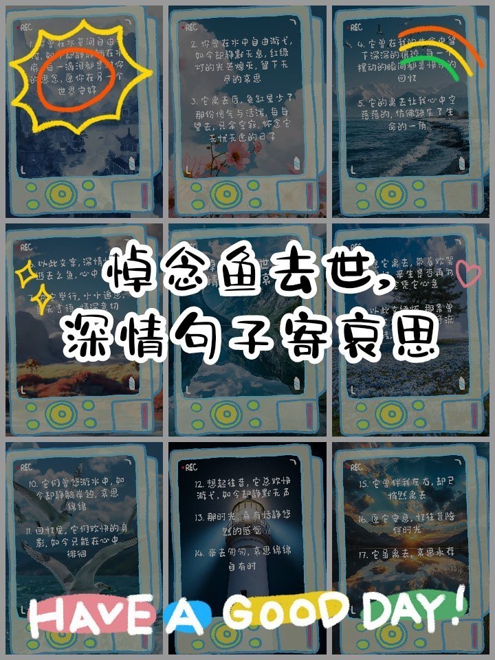 魚死了最火的文案短句 魚死了最火的文案短句 龍魚論壇 第4張