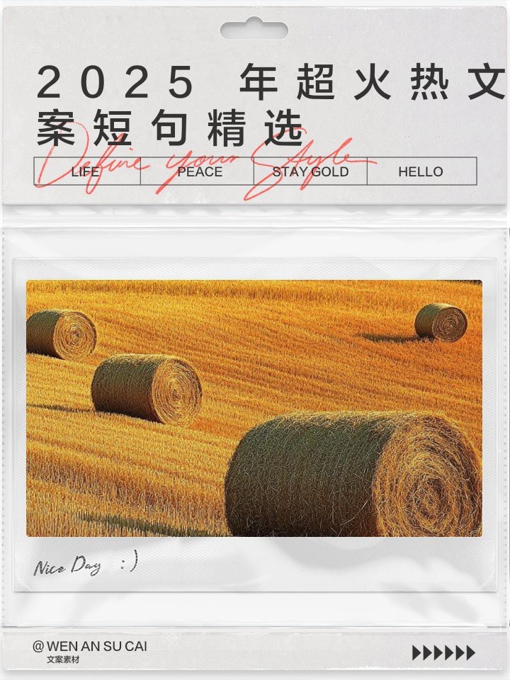 魚死了最火的文案短句 魚死了最火的文案短句 龍魚論壇 第15張
