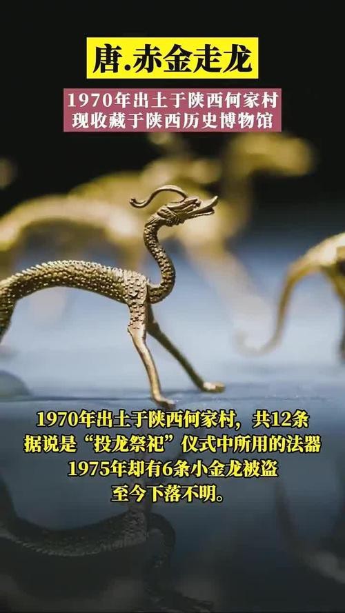 金龍文物圖片高清版