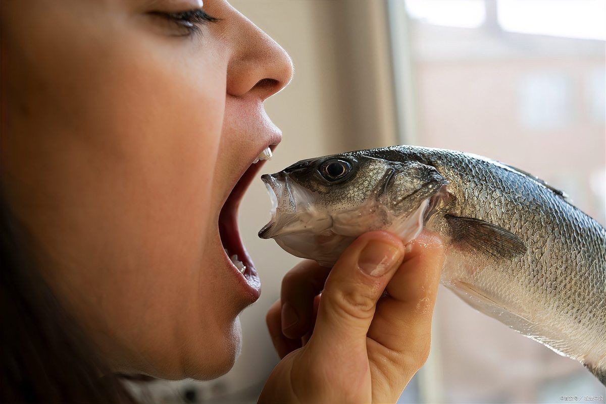 海獅子魚的毒性