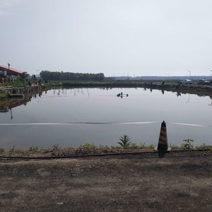 沈陽龍魚漁場在哪兒啊