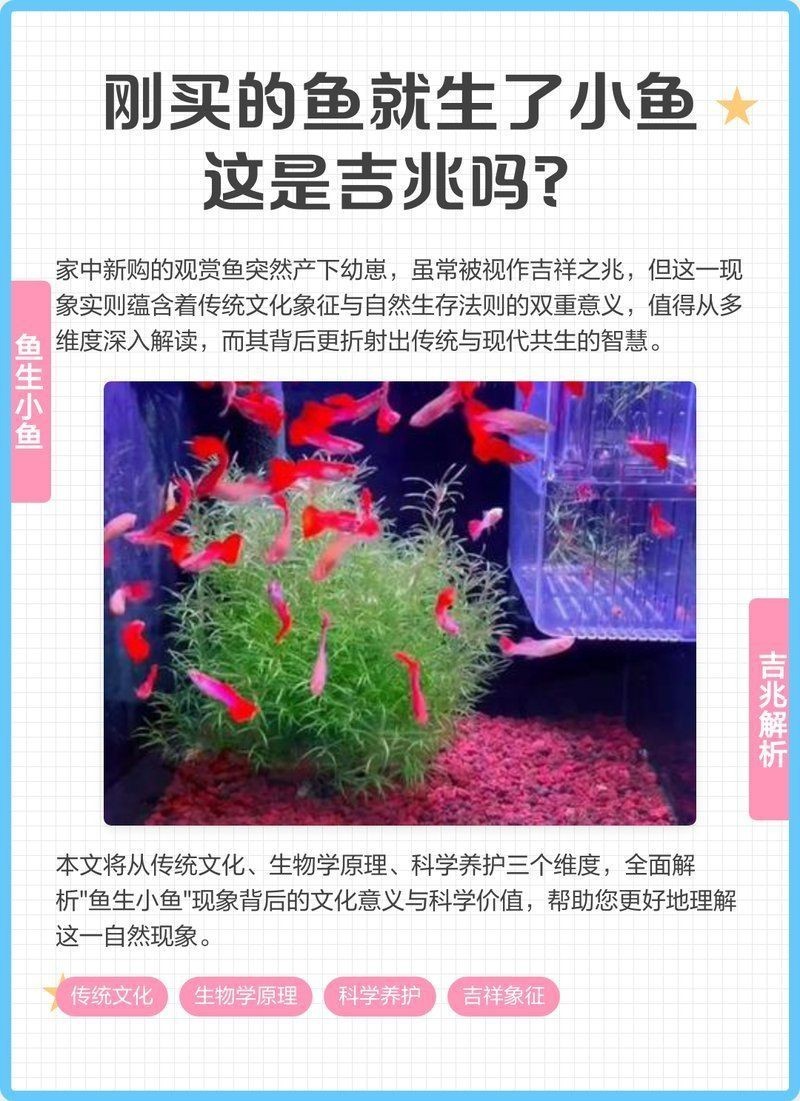 家里的魚產卵了風水