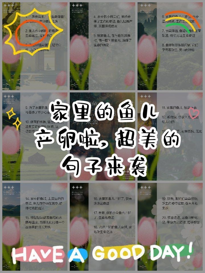 家里的魚產卵了風水