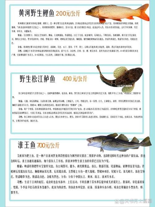福龍王魚圖片價(jià)格