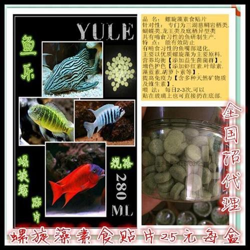 福龍王魚圖片價(jià)格
