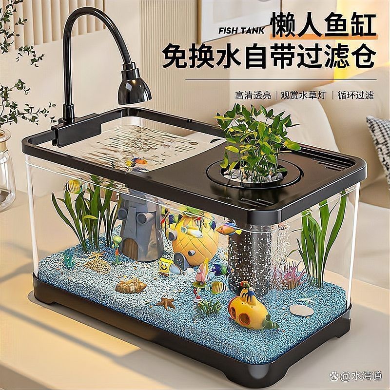 1米缸養(yǎng)什么魚最好看呢