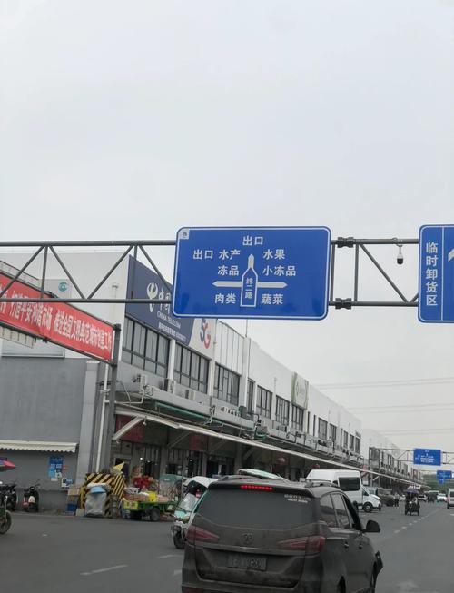 蘇州龍魚批發市場在哪里有買 蘇州龍魚批發市場在哪里有買 龍魚百科 第1張
