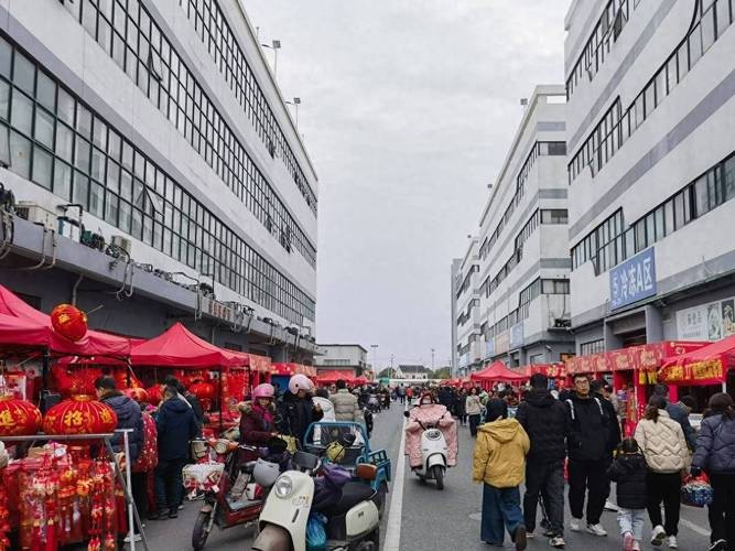 蘇州龍魚批發市場在哪里有買 蘇州龍魚批發市場在哪里有買 龍魚百科 第3張