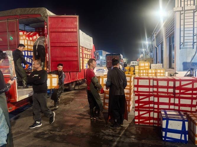 蘇州龍魚批發市場在哪里有買 蘇州龍魚批發市場在哪里有買 龍魚百科 第4張