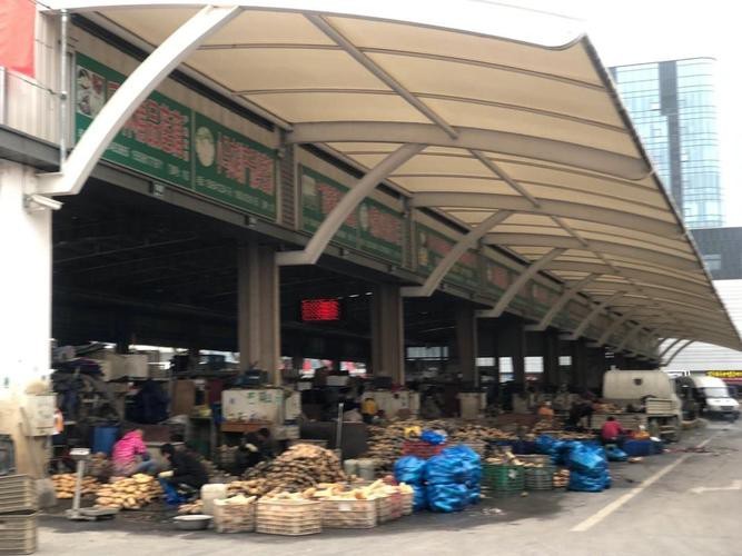 蘇州龍魚批發市場在哪里有買 蘇州龍魚批發市場在哪里有買 龍魚百科 第5張