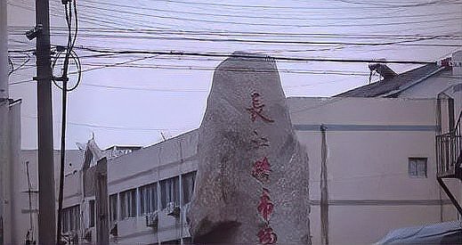 蘇州龍魚批發市場在哪里有買 蘇州龍魚批發市場在哪里有買 龍魚百科 第8張